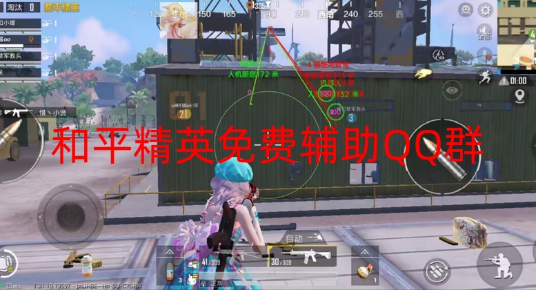 和平精英《冰焰》辅助